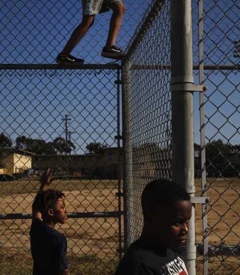 Lead in Tap Water of Los Angeles Community